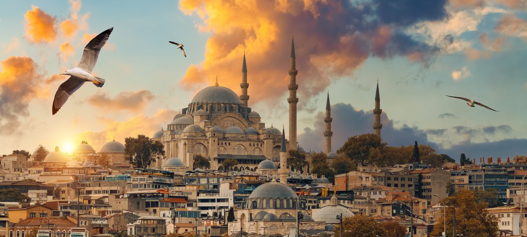 AdobeStock_513715408 AdobeStock_513715408